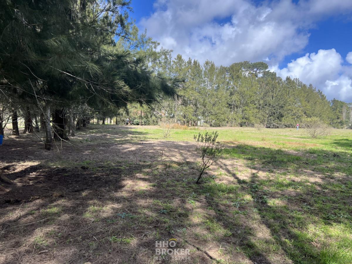 Foto de Terreno en Venta, Jardines de Cordoba, Punta del Este., imagen 1