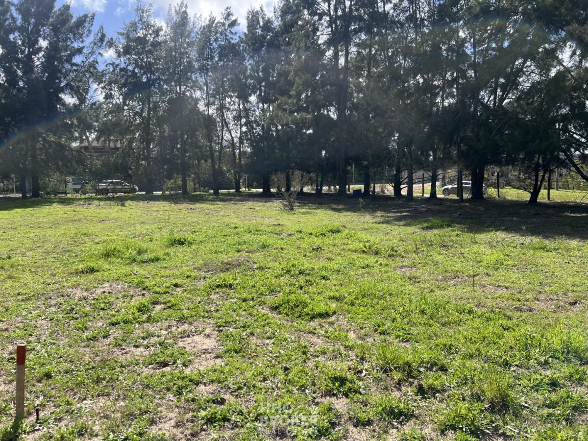 Foto de Terreno en Venta, Jardines de Cordoba, Punta del Este., imagen 3