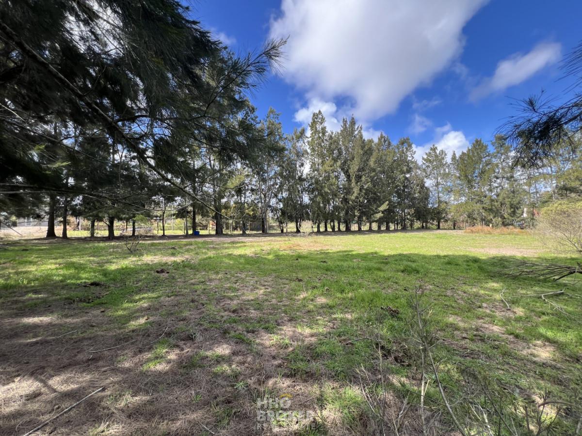 Foto de Terreno en Venta, Jardines de Cordoba, Punta del Este., imagen 5