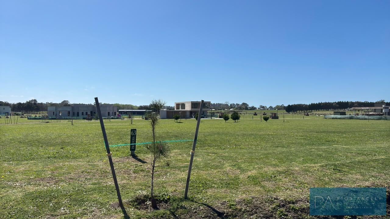 Foto de Terreno - Casonas del Haras, imagen 3