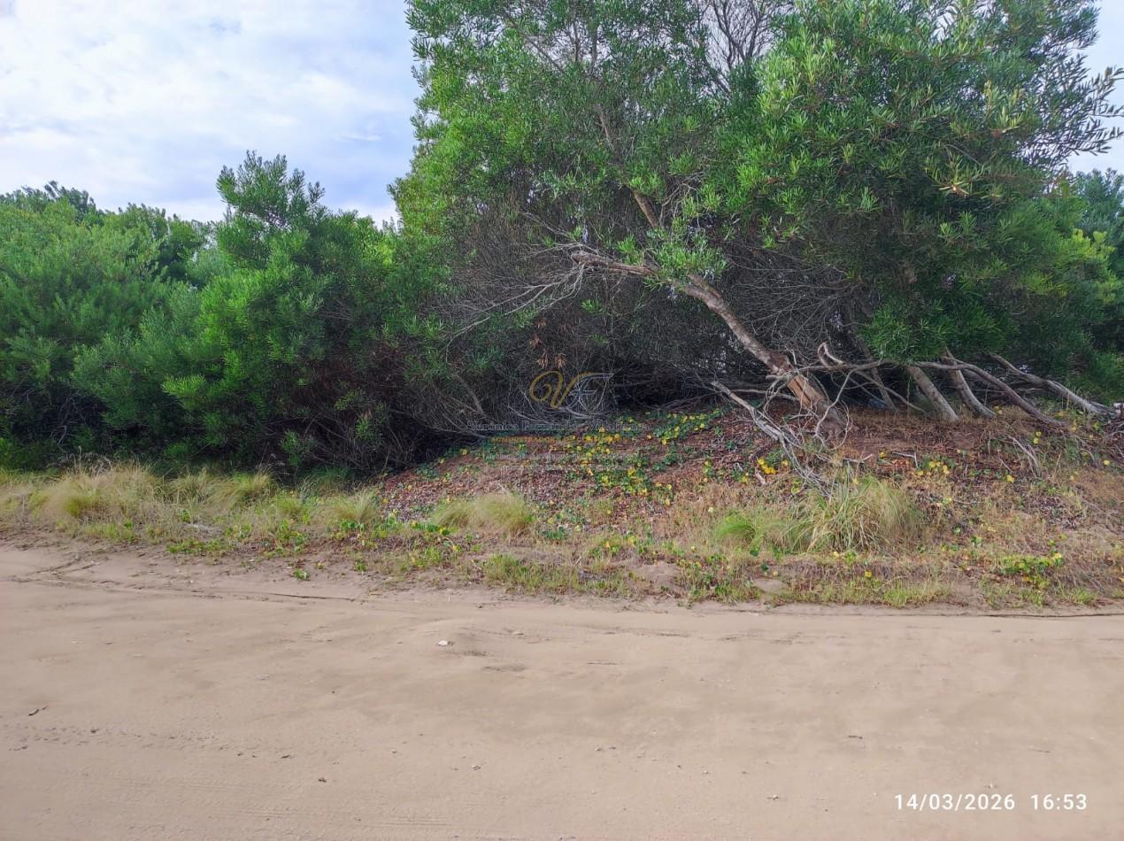 Foto de LOTE COSTA ESMERALDA SENDEROS 4 LOTE 361 ESQUINA ARBOLADA, imagen 4