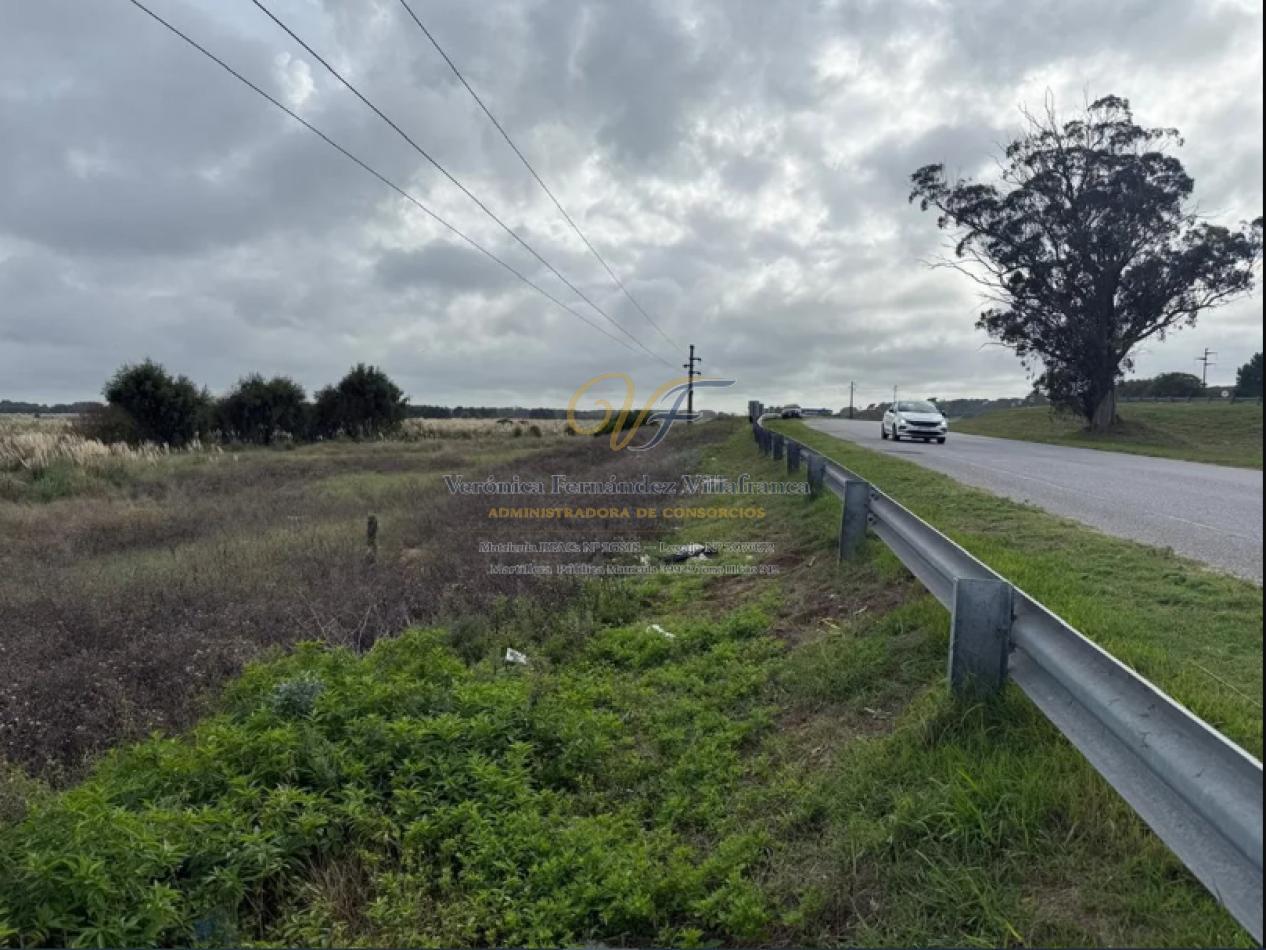 Foto de VENTA LOTE COMERCIAL LA MANSA GENERAL MADARIAGA, imagen 5
