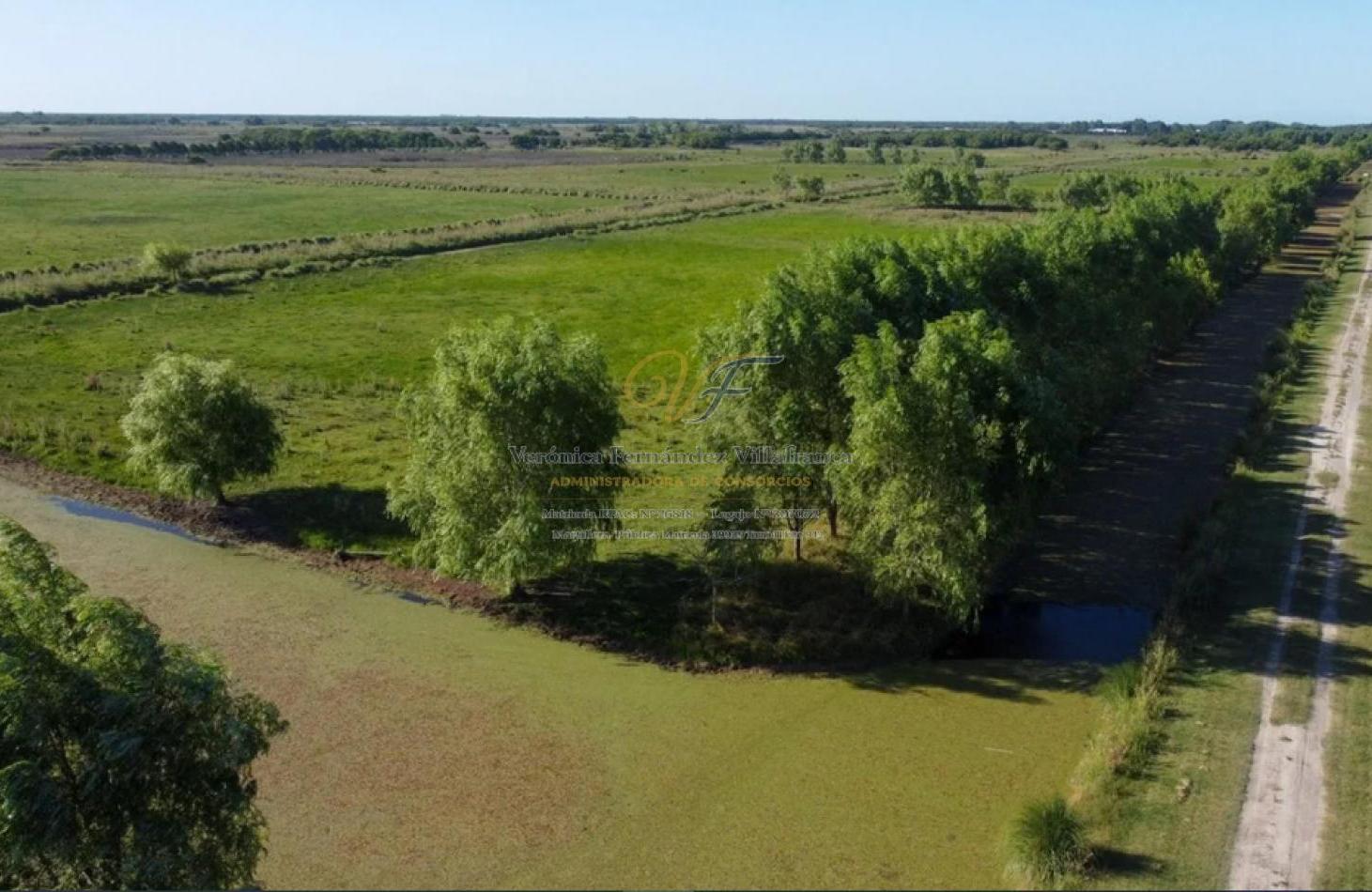 Foto de VENTA LOTE COMERCIAL LA MANSA GENERAL MADARIAGA, imagen 3