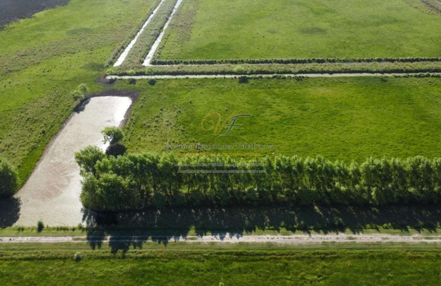 Foto de VENTA LOTE COMERCIAL LA MANSA GENERAL MADARIAGA, imagen 4