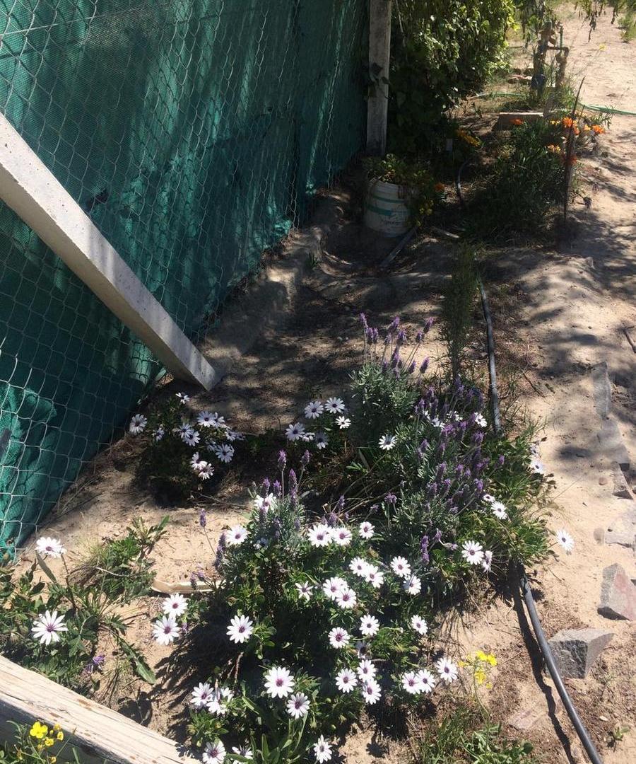 Foto de Terreno en Puerto Madryn, imagen 4