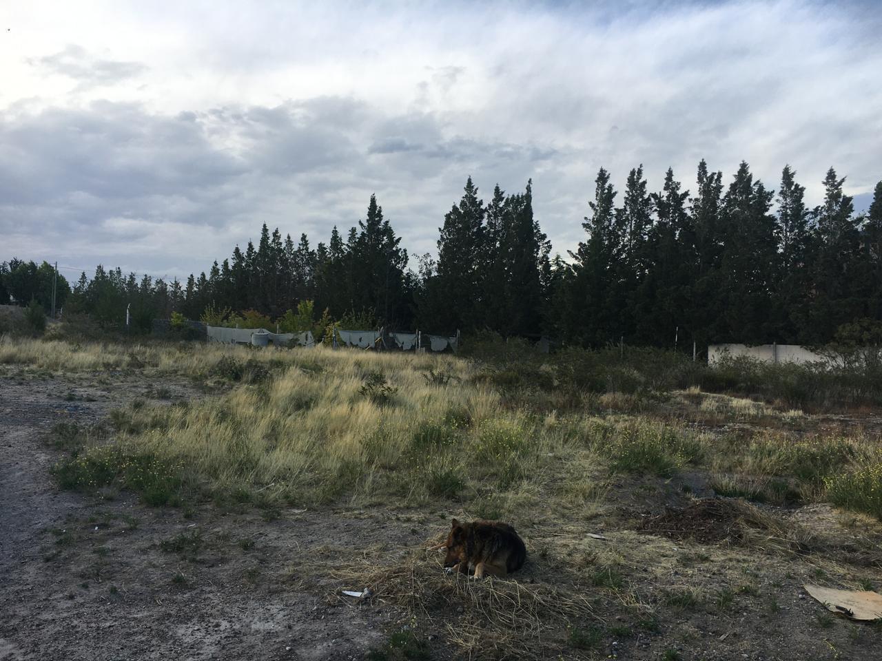 Foto de Terreno en Puerto Madryn, imagen 2