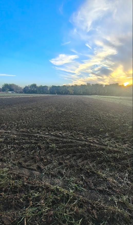 Foto de Venta Gran Campo de 1 Hectarea sobre Camino a San Carlos!!!, imagen 2