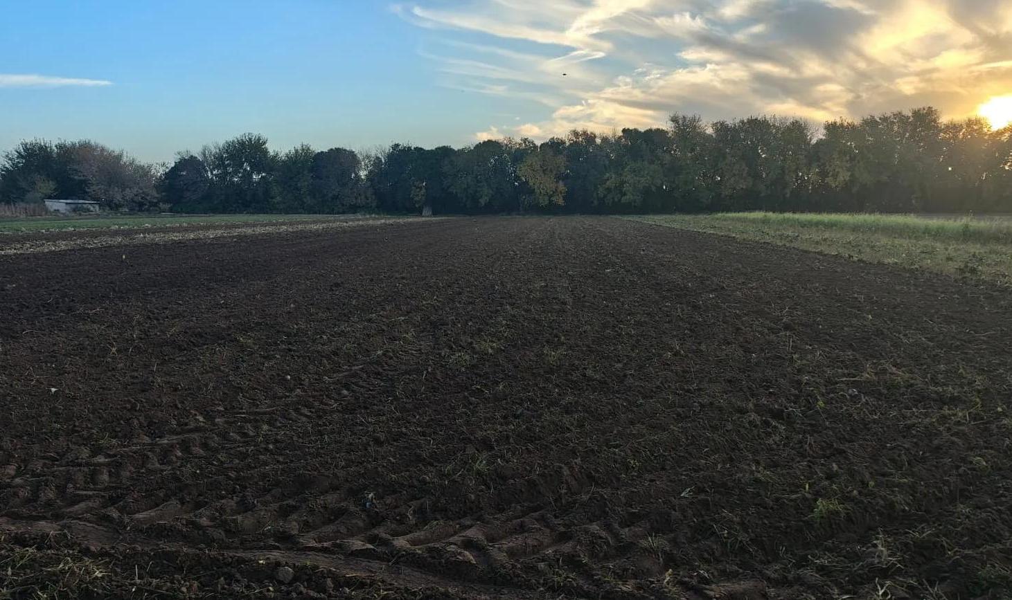 Foto de Venta Gran Campo de 1 Hectarea sobre Camino a San Carlos!!!, imagen 4