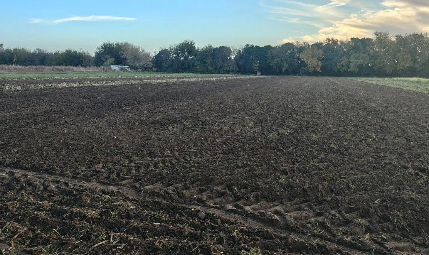 Foto de Venta Gran Campo de 1 Hectarea sobre Camino a San Carlos!!!, imagen 3