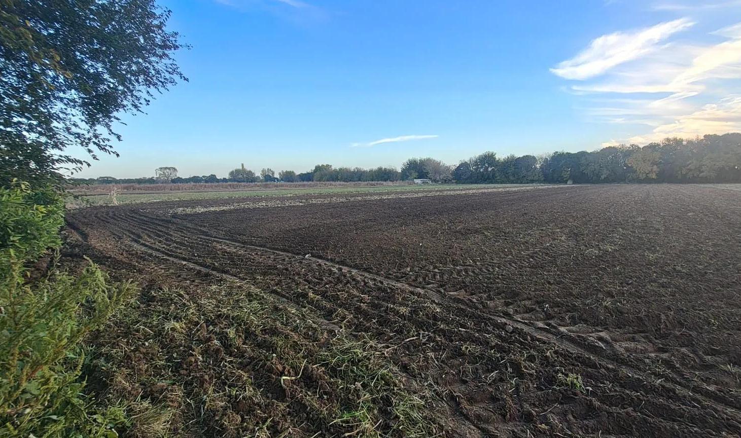 Foto de Venta Gran Campo de 1 Hectarea sobre Camino a San Carlos!!!, imagen 1