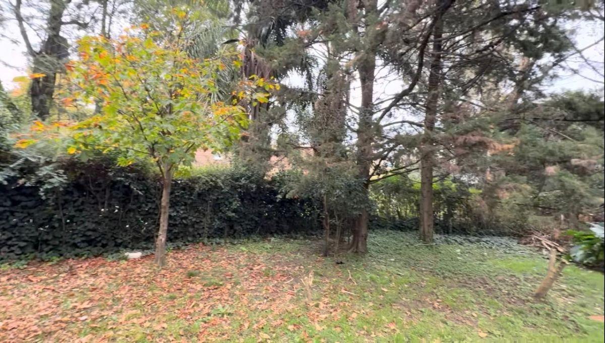 Foto de Excelente lote arbolado en La Horqueta, imagen 5