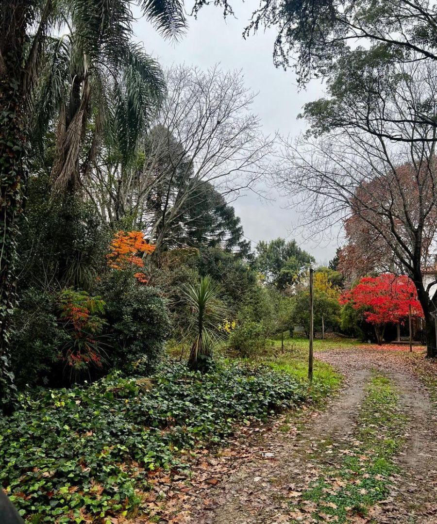 Foto de Excelente lote arbolado en La Horqueta, imagen 1