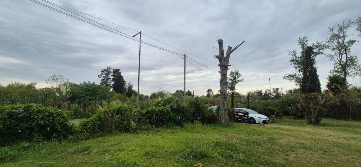 Foto de Lote en Venta en Rincon Milberg Cerca del Rio., imagen 5