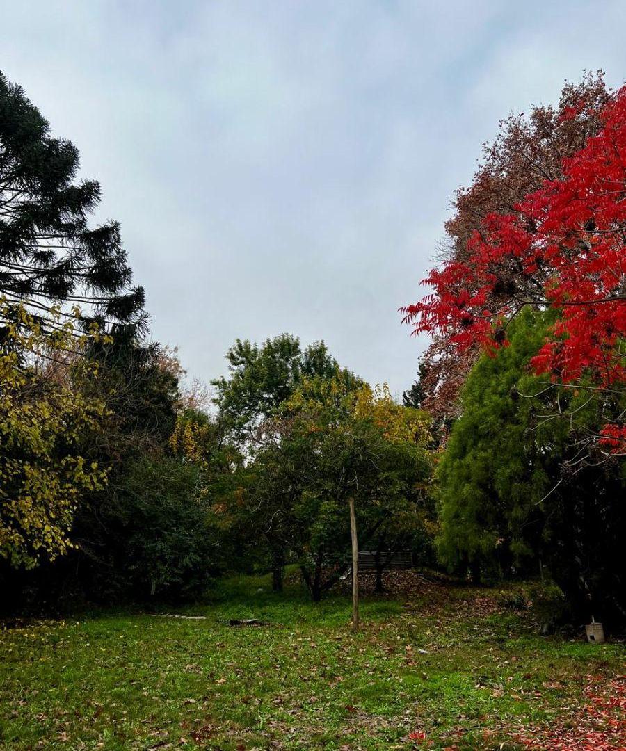 Foto de Excelente lote en pulmon de manzana!, imagen 4