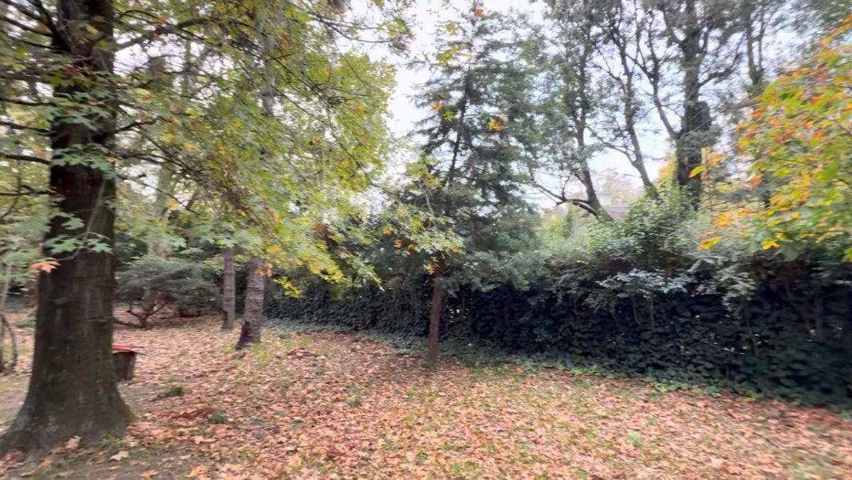 Foto de Excelente lote en venta en la horqueta, imagen 3