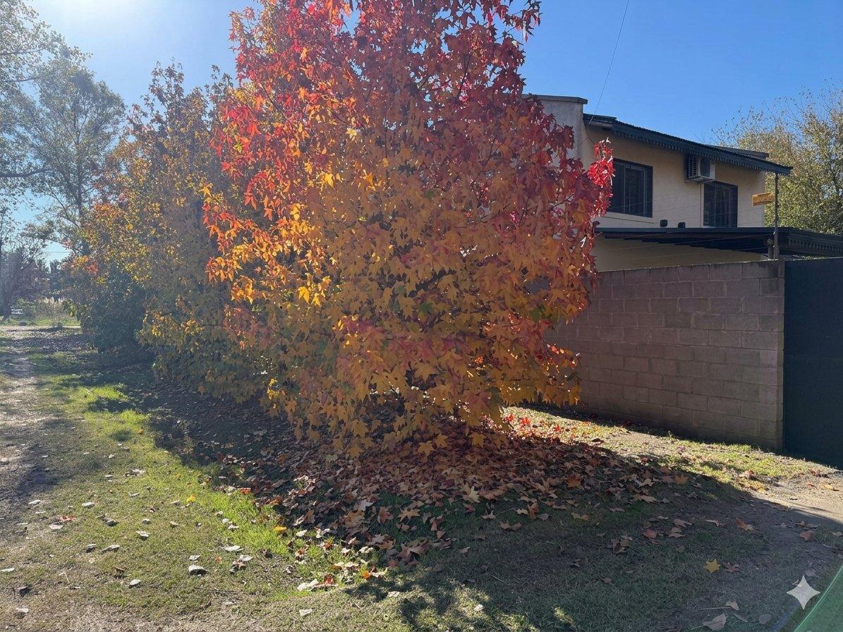 Foto de Casa en venta em La Reja APTA crédito, imagen 2