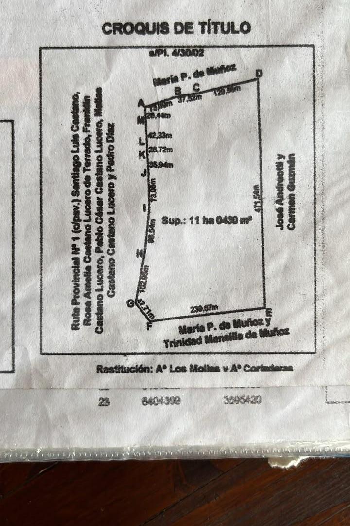 Foto de LOTE 3800 MTS2 EN VILLA ELENA-CORTADERAS SAN LUIS. SOBRE RUTA PCIAL.N° 1, imagen 5
