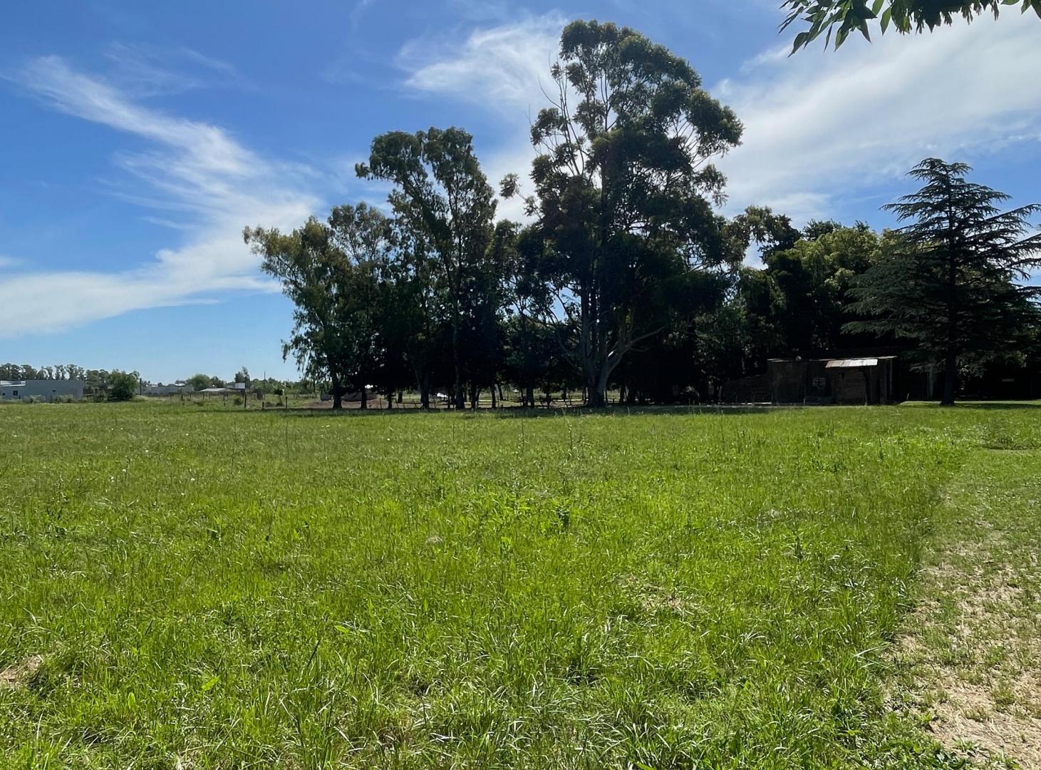 Foto de TERRENO EN VENTA - LOTE 430MTS - LOS HORNOS, imagen 2