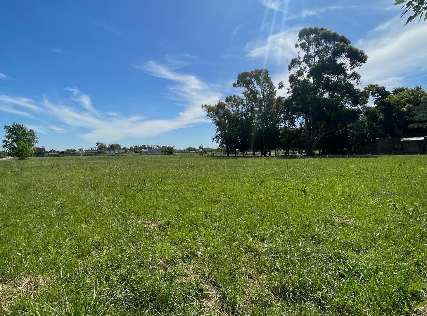 Foto de TERRENO EN VENTA - LOTE 430MTS - LOS HORNOS, imagen 1