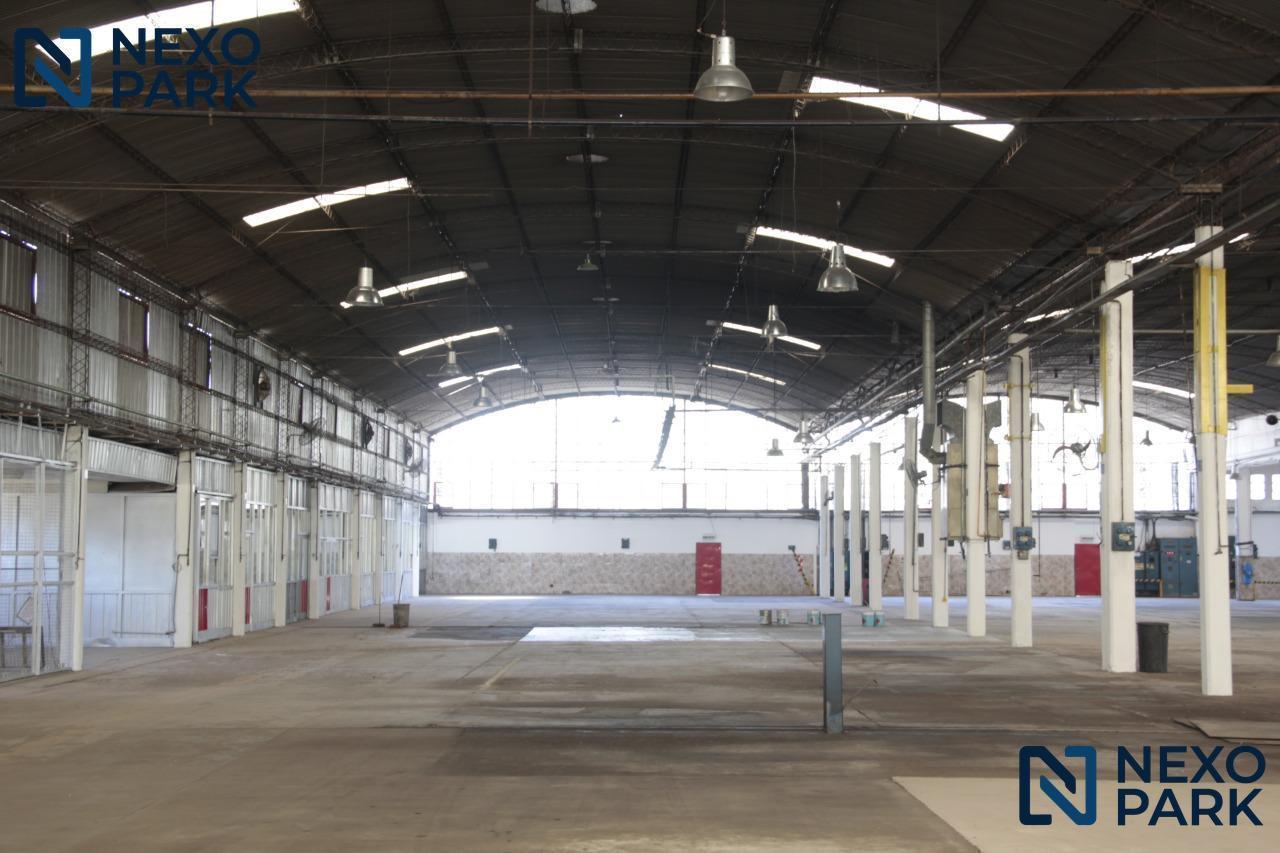 Foto de Galpón INDUSTRIAL en Amp. Palmar 5600m2, imagen 1
