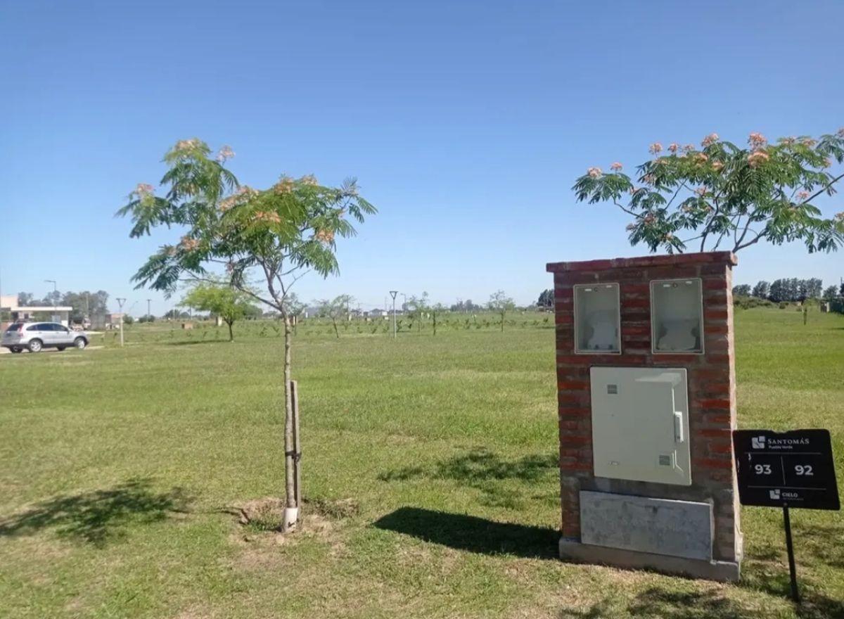 Foto de Lote en San Tomás Pueblo Verde. Listo para construir, imagen 5