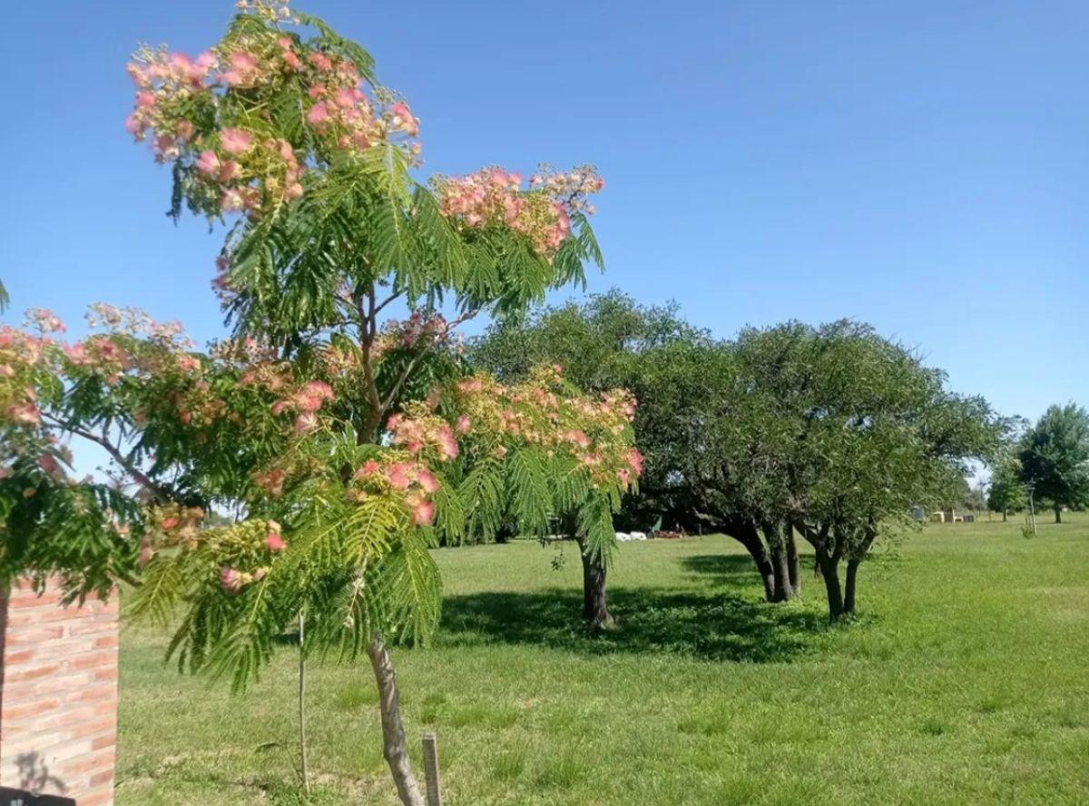 Foto de Lote en San Tomás Pueblo Verde. Listo para construir, imagen 1