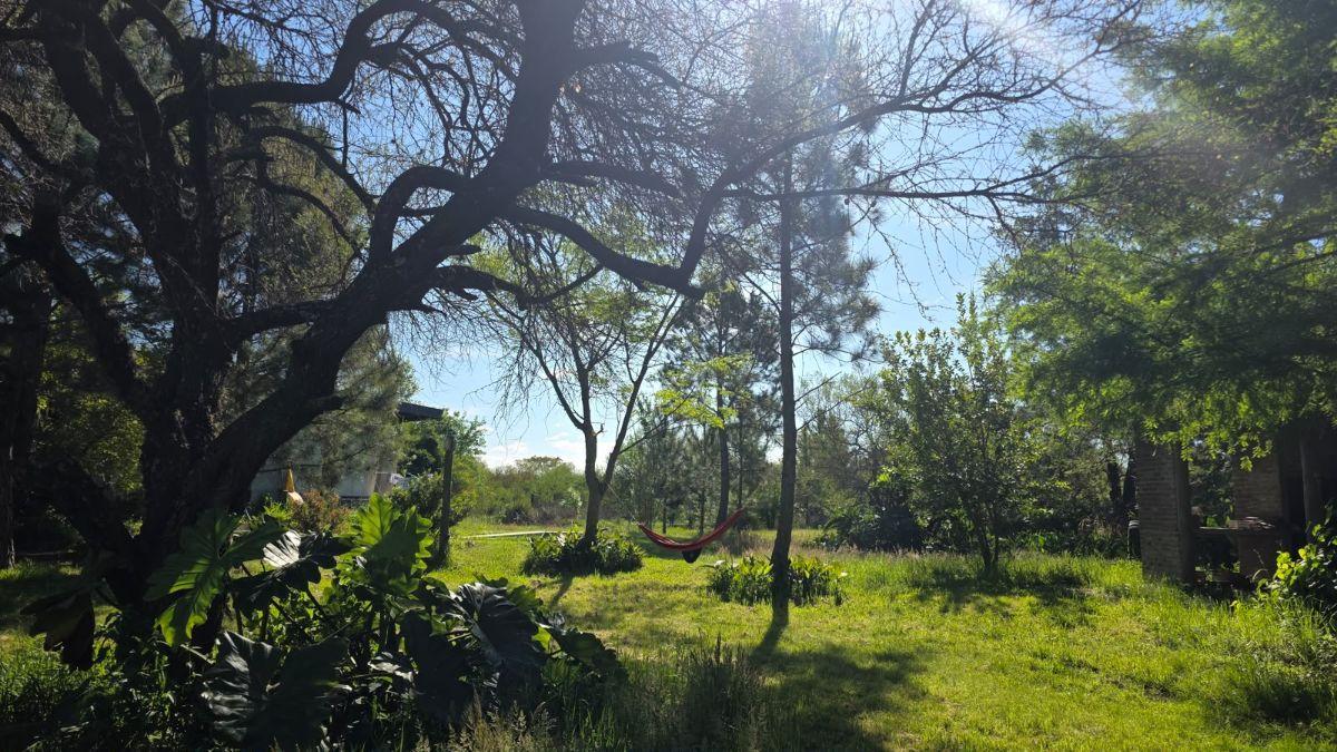 Foto de Casa con gran terreno forestado en Colastiné, imagen 4