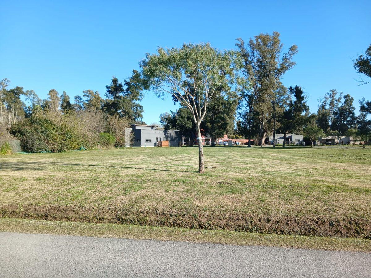 Foto de Terreno de 769 m² en venta en Barrio Privado el Ensueño, imagen 4
