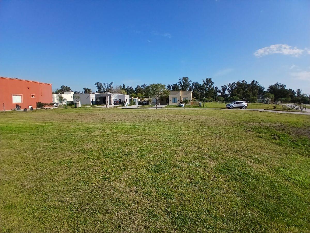 Foto de Lote central de 778 m² sobre boulevard principal, imagen 5