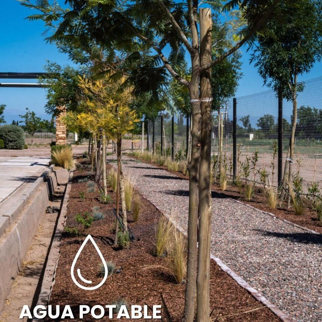 Foto de Barrio Privado Villa Robert 2 lotes (Lote 500 m2 cada uno) Primera etapa, imagen 5