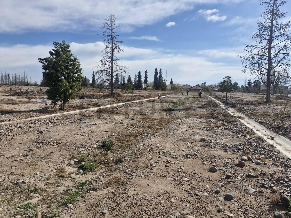 Foto de VENTA TERRENO LAS TACAS II, imagen 5