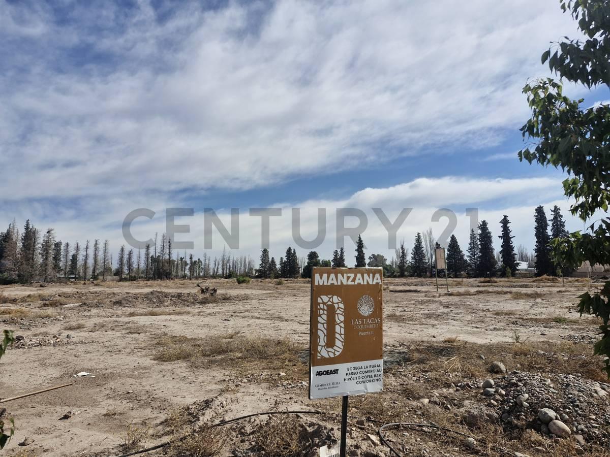 Foto de VENTA TERRENO LAS TACAS II, imagen 2