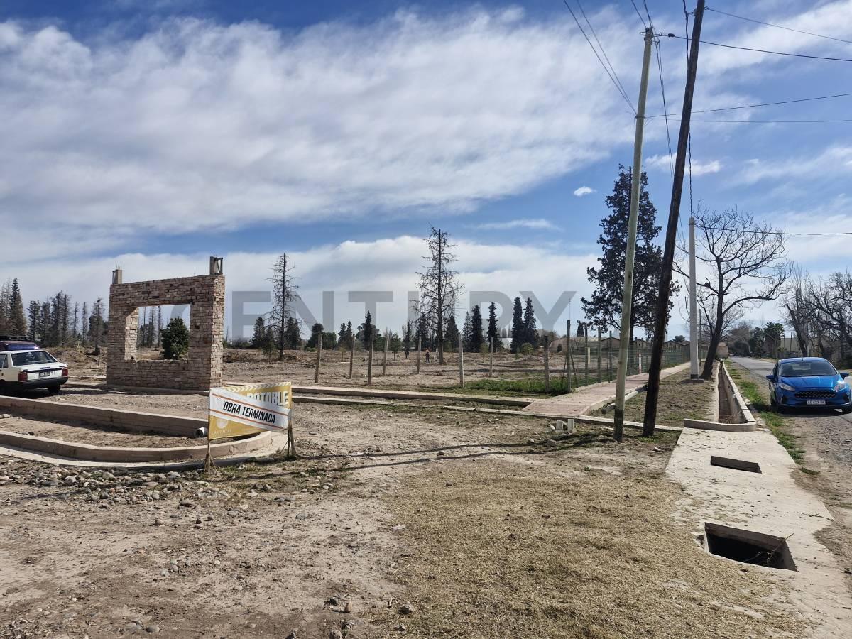 Foto de VENTA TERRENO LAS TACAS II, imagen 4