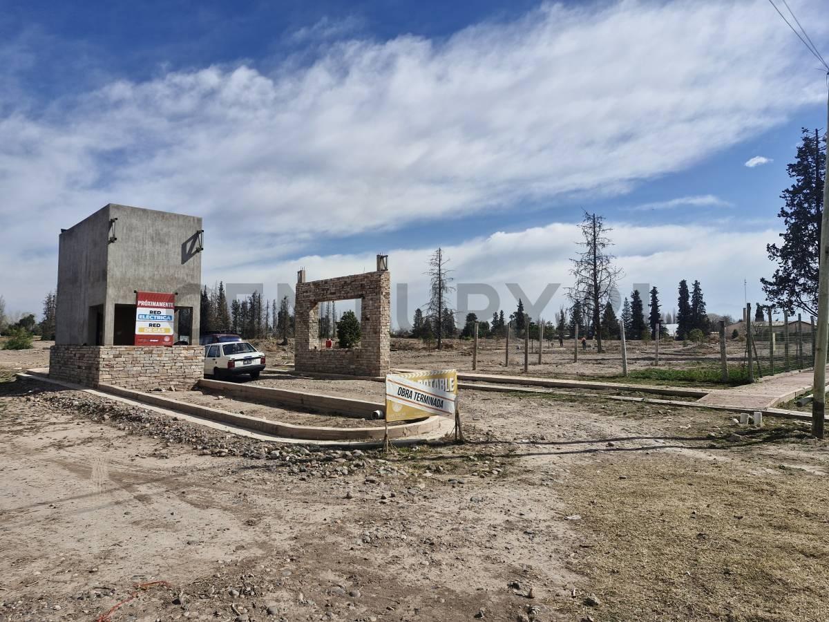 Foto de VENTA TERRENO LAS TACAS II, imagen 3