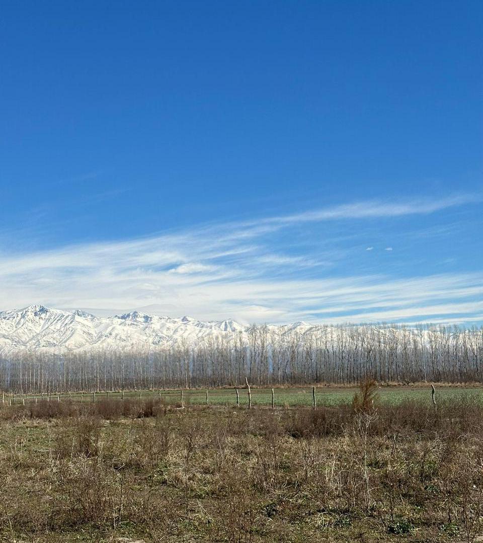 Foto de TERRENO EN VENTA VISTA FLORES TUNUYAN, imagen 5