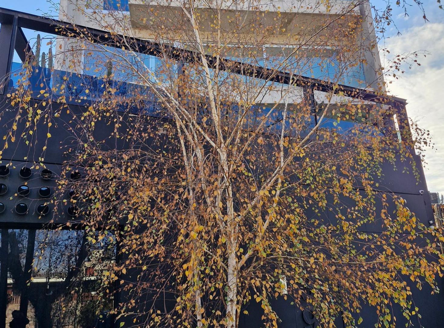 Foto de Dpto en venta Carrodilla de categoría 1 dorm, imagen 1
