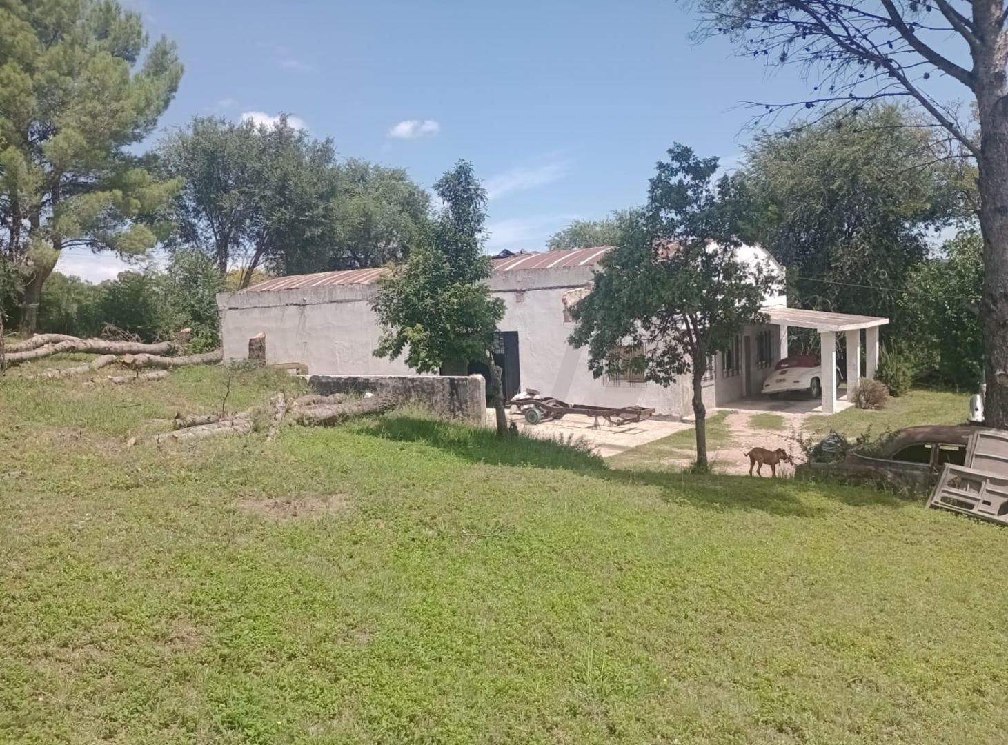 Foto de Galpón con departamento, imagen 1