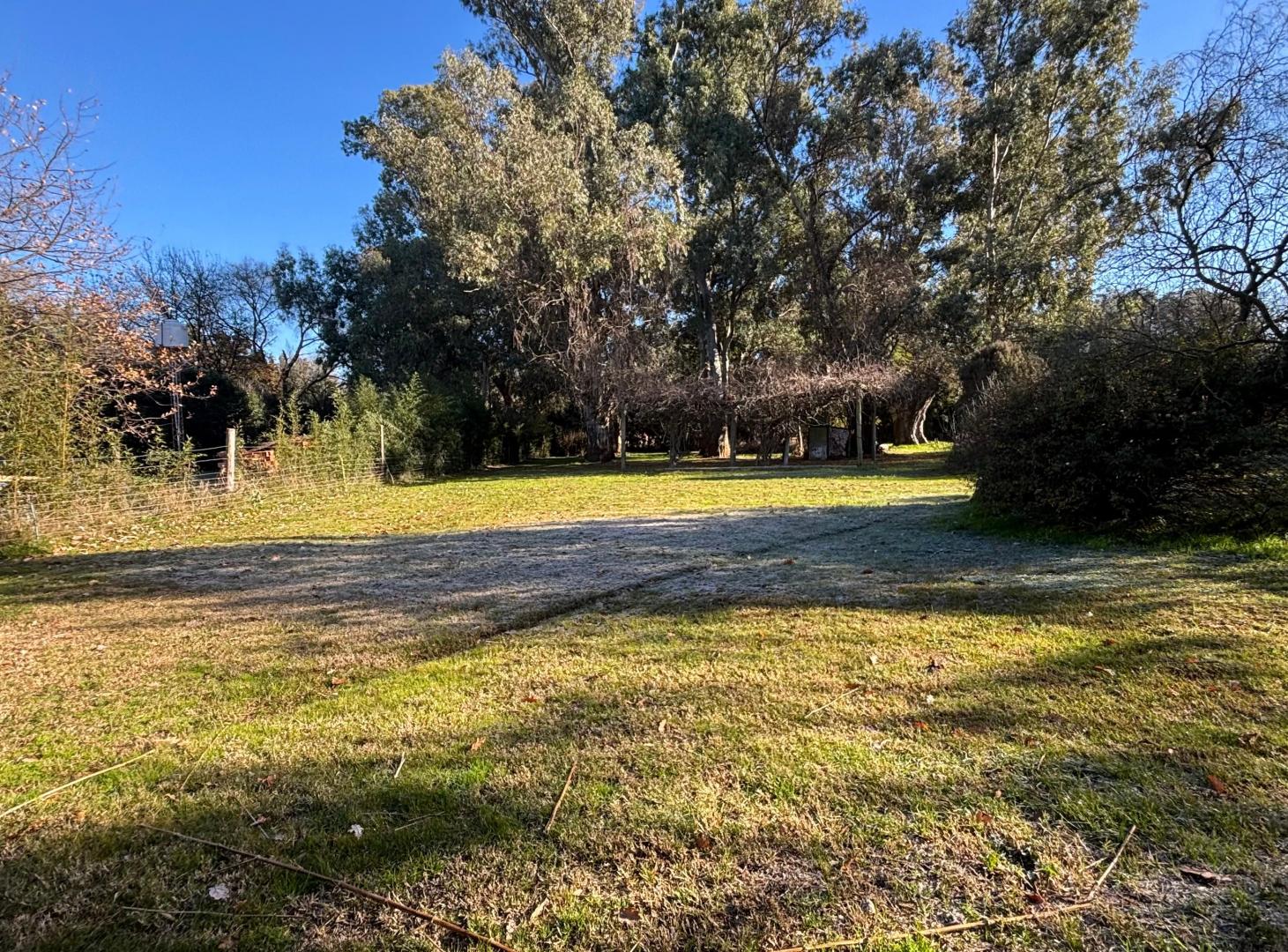 Foto de Terreno de 1200mtrs, imagen 2