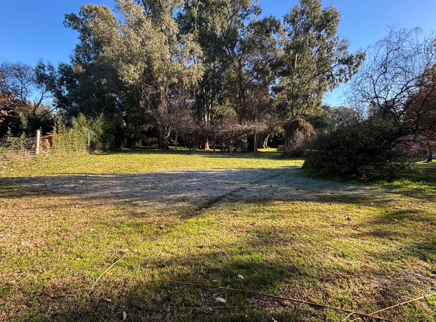 Foto de Terreno de 1200mtrs, imagen 3