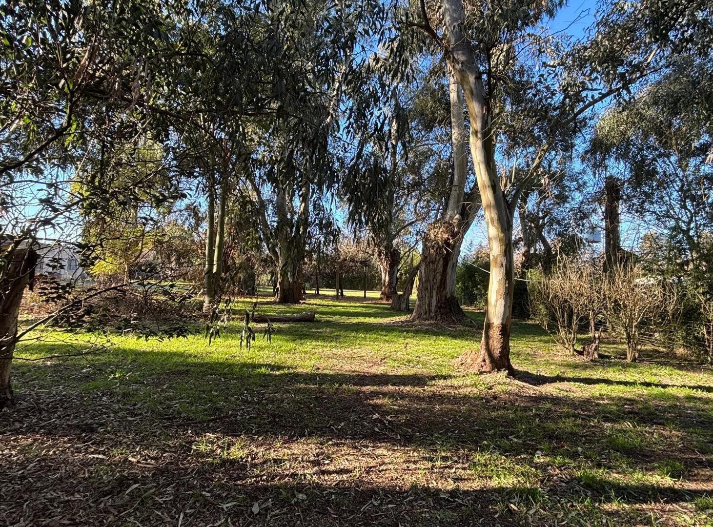 Foto de Terreno de 1200mtrs, imagen 5