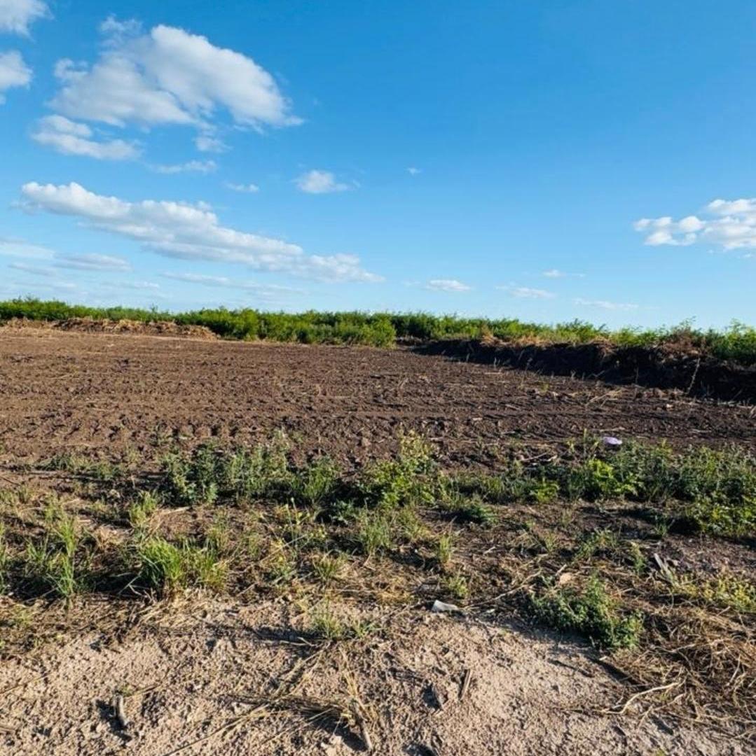 Foto de Lote Barrio Polo Tres Pinos Villa de Campo, imagen 2