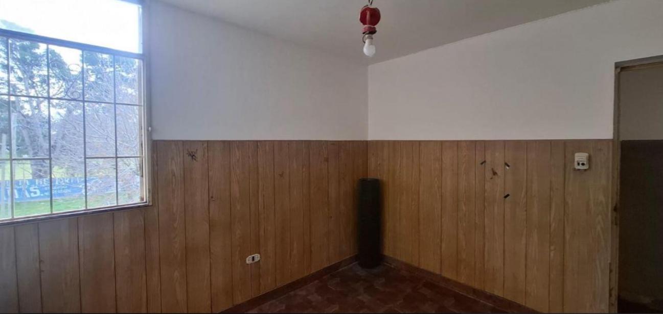 Foto de Departamento 3 dormitorios en alquiler en Tolosa – Sin expensas, imagen 4