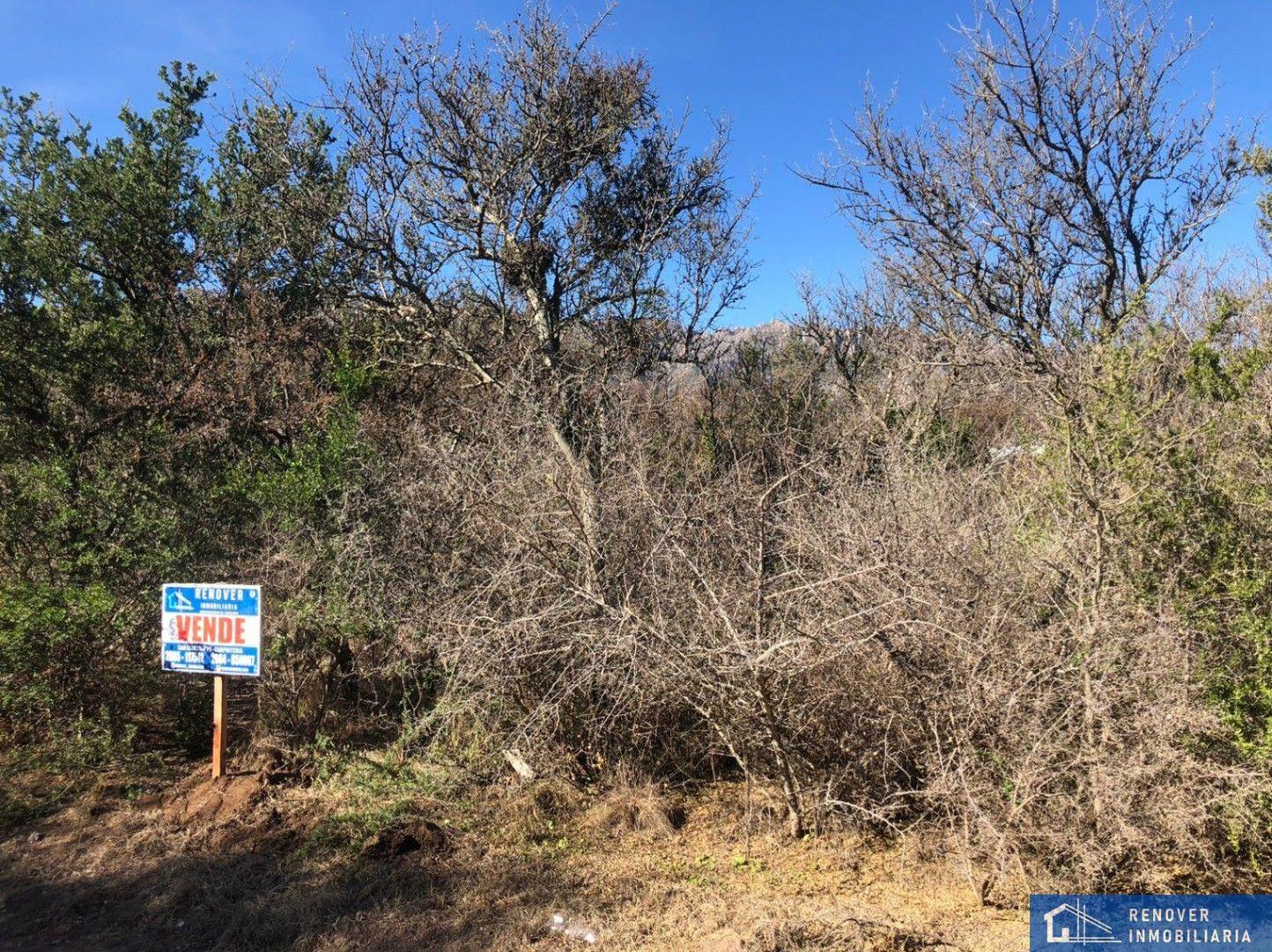 Foto de Lote en venta de 765m2 ubicado en Cortaderas, imagen 5