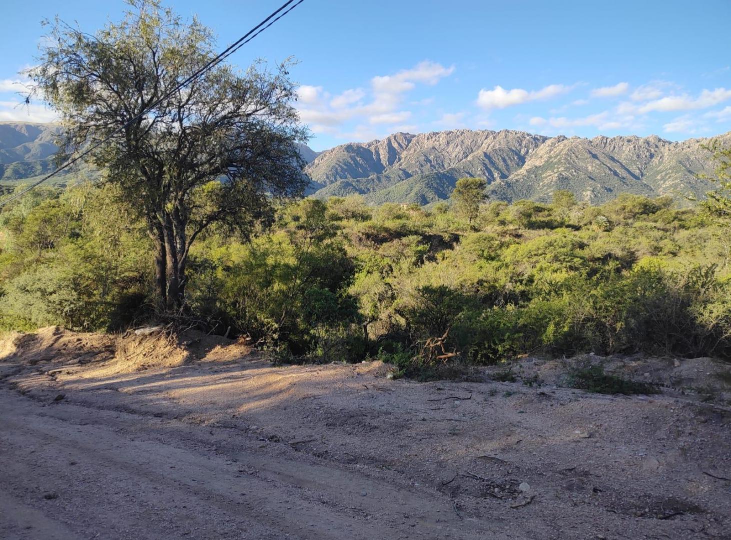 Foto de Lote en venta de 765m2 ubicado en Cortaderas, imagen 3