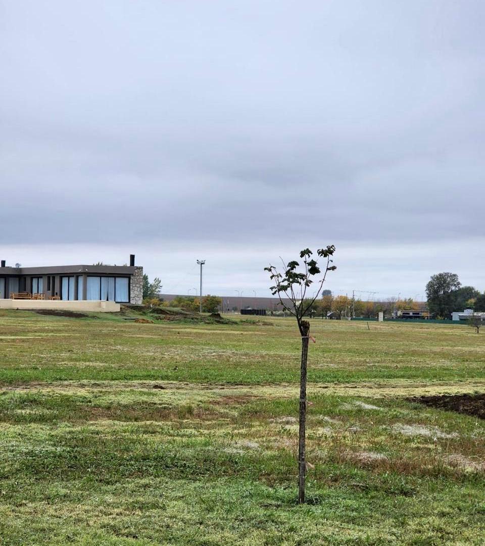 Foto de Lote en barrio privado El Amparo, imagen 5
