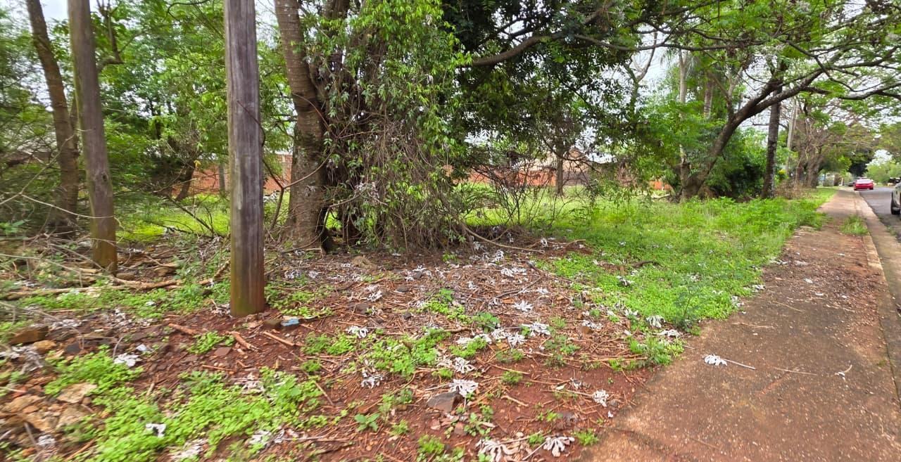 Foto de Terreno amplio en venta excelente ubicación en posadas, imagen 2