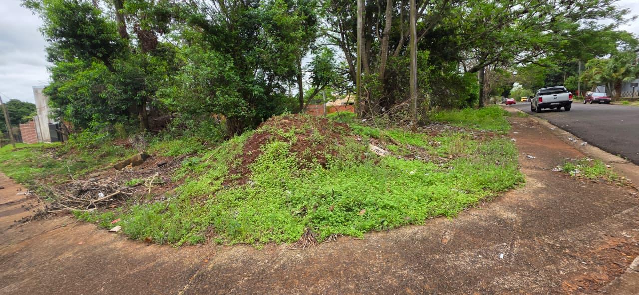 Foto de Terreno amplio en venta excelente ubicación en posadas, imagen 3