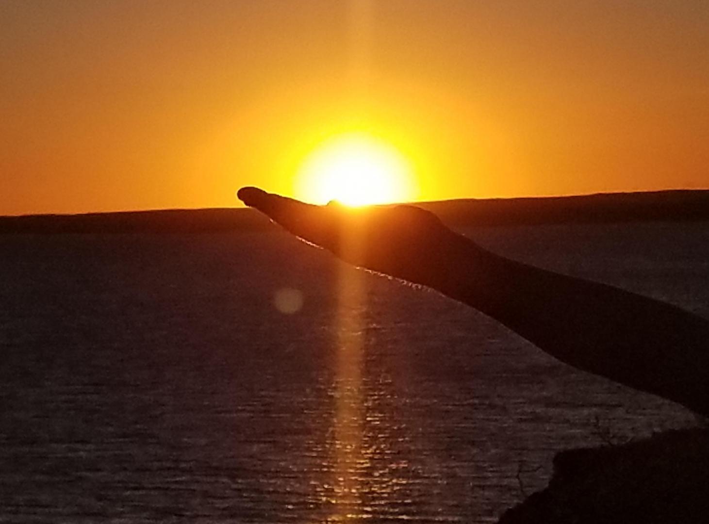Foto de TERRENO SOBRE LA COSTA, imagen 2