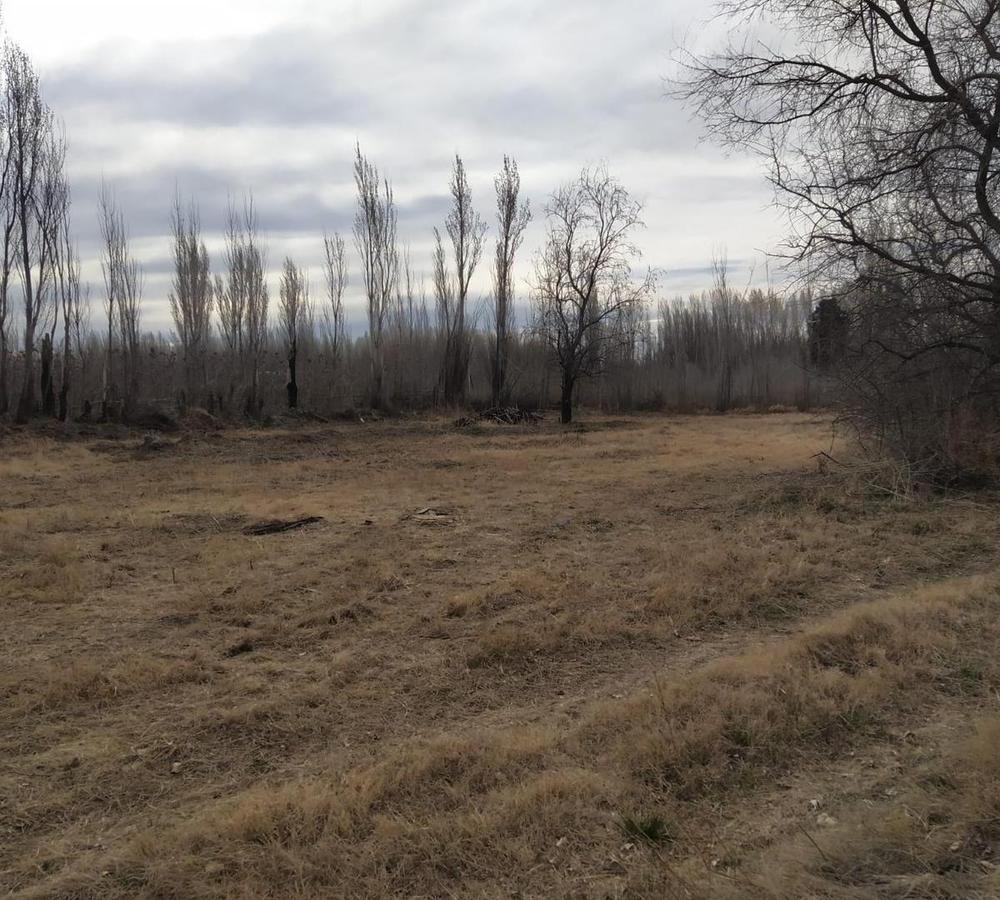 Foto de Venta Terreno " Colonia LA LUCINDA" Cipolletti Rio Negro, imagen 4