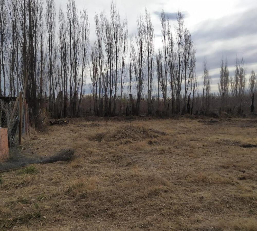 Foto de Venta Terreno " Colonia LA LUCINDA" Cipolletti Rio Negro, imagen 5